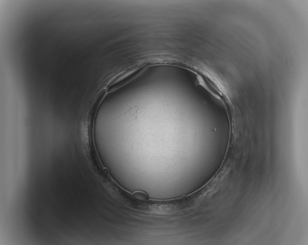 X0000102280105200808081510