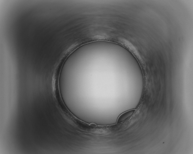 X0000102280106200808081510