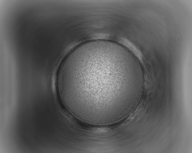 X0000102280107200808081510