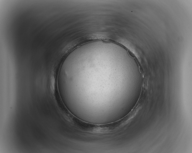 X0000102280109200808081510