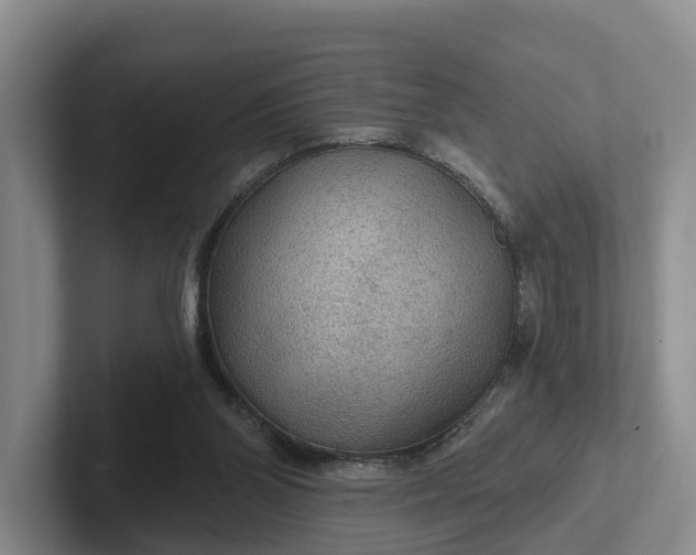 X0000102280110200808081510