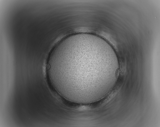 X0000102280111200808081510