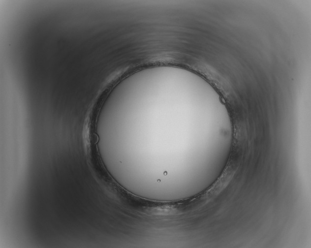 X0000102280112200808081510