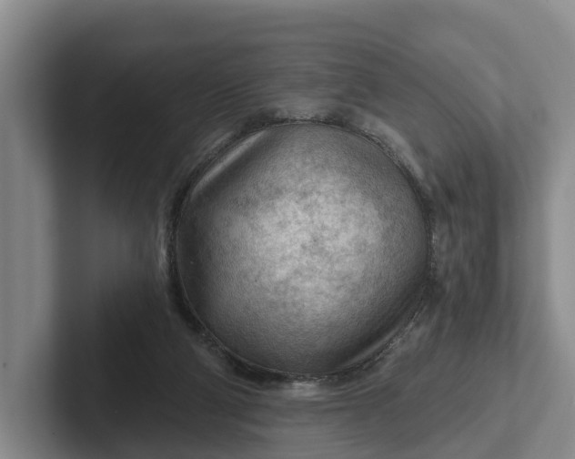 X0000102280114200808081510