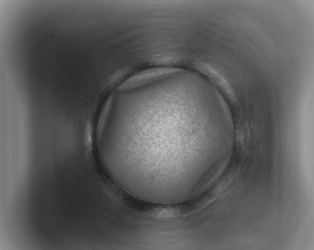 X0000102280115200808081510