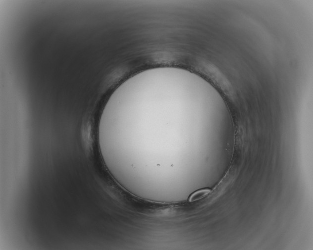 X0000102280116200808081510