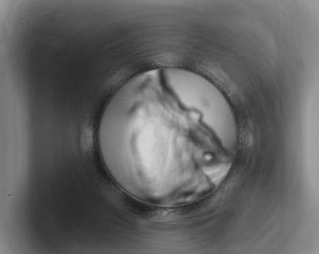 X0000102280117200808081510