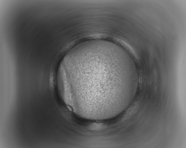 X0000102280119200808081510