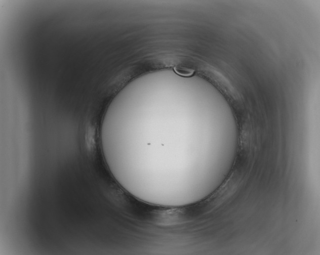 X0000102280122200808081510