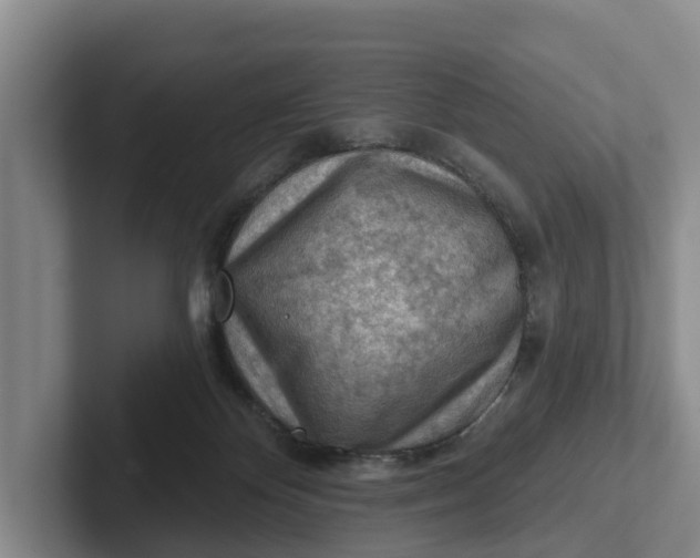 X0000102280124200808081510