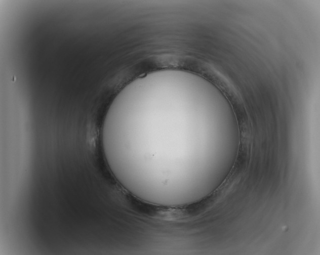 X0000102280125200808081510