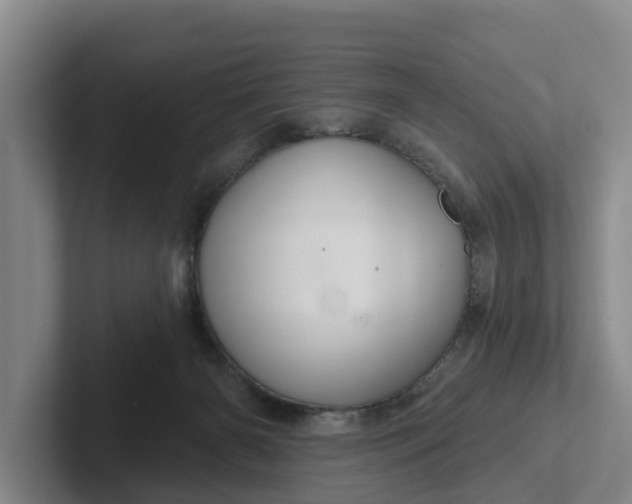 X0000102280126200808081510