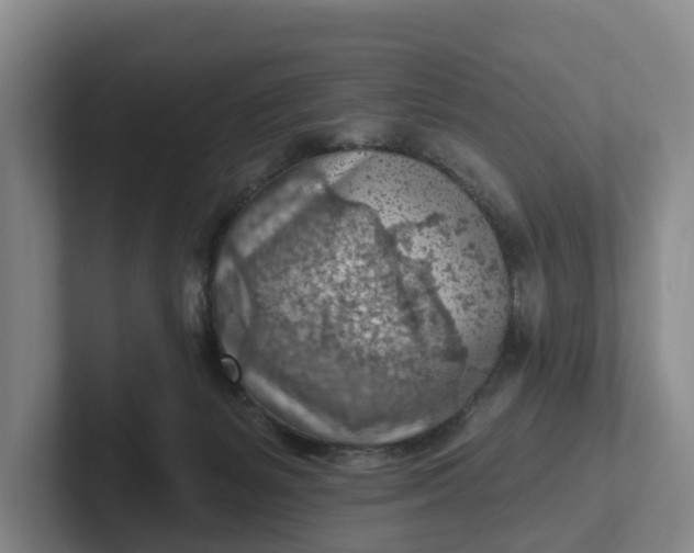 X0000102280127200808081510