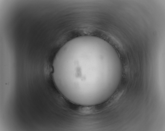 X0000102280129200808081510