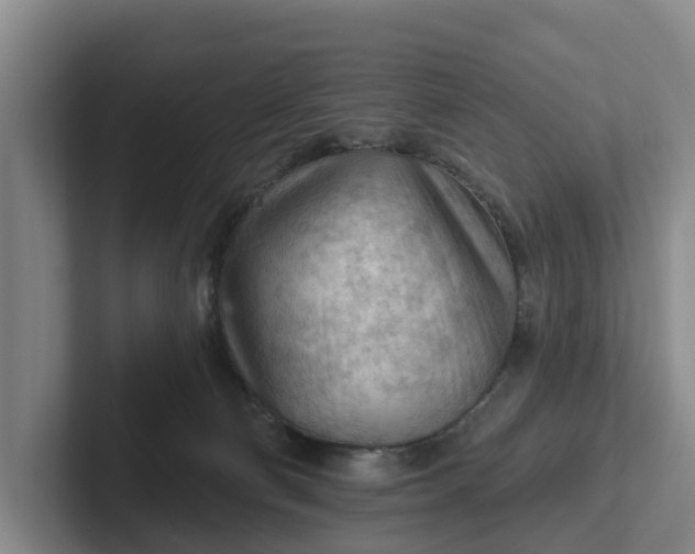 X0000102280130200808081510