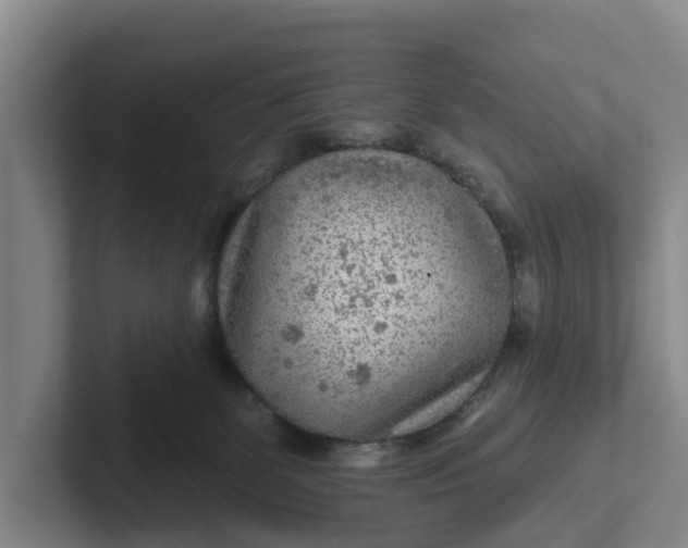 X0000102280131200808081510