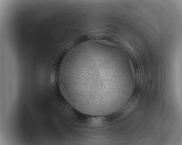 X0000102280134200808081510