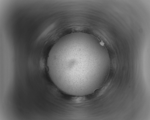 X0000102280135200808081510