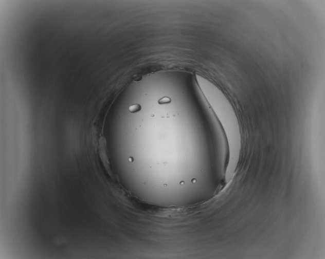 X0000102280136200808081510