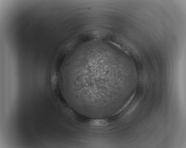 X0000102280137200808081510