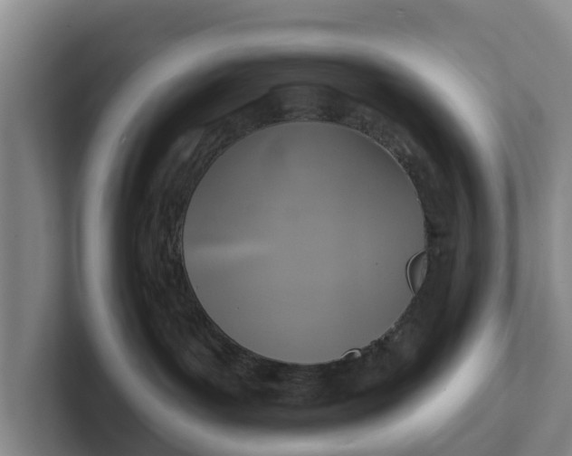 X0000102280143200808081510