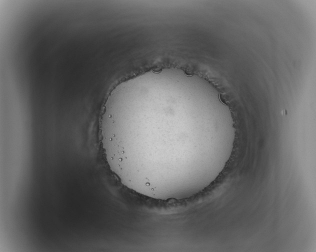 X0000102280144200808081510