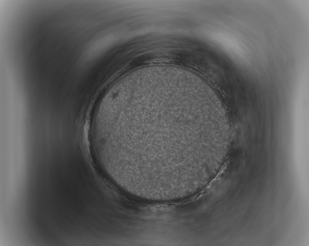 X0000102280146200808081509