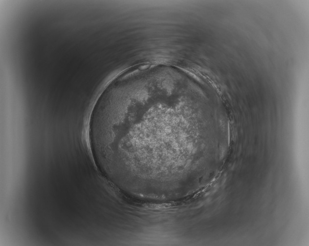 X0000102280147200808081509