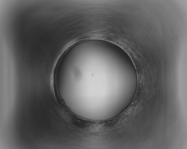 X0000102280148200808081509