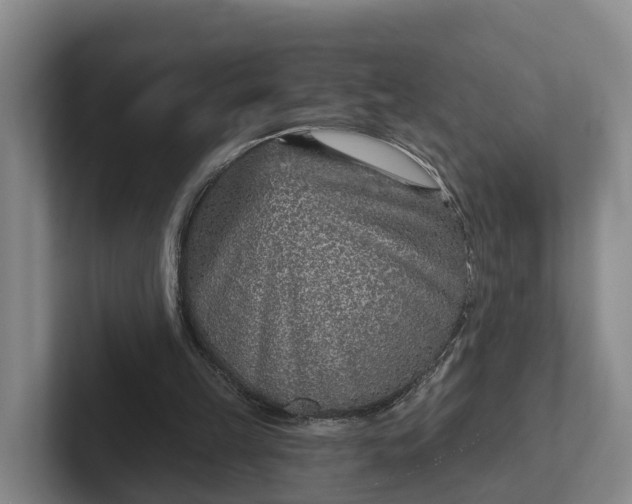 X0000102280149200808081509