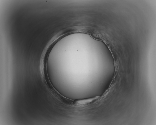 X0000102280150200808081509