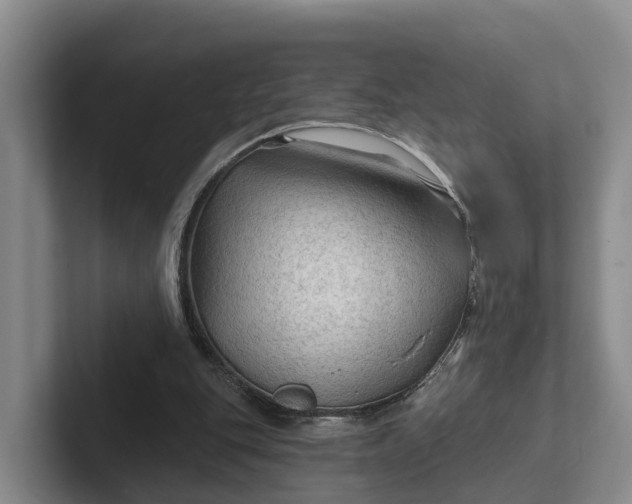 X0000102280151200808081509