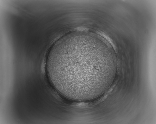 X0000102280153200808081509