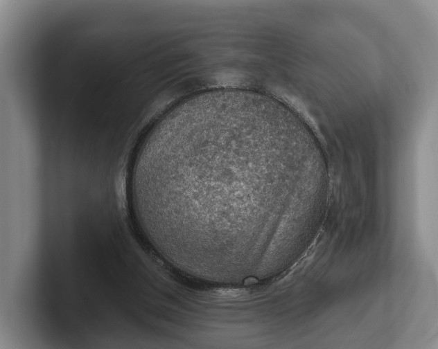 X0000102280154200808081509