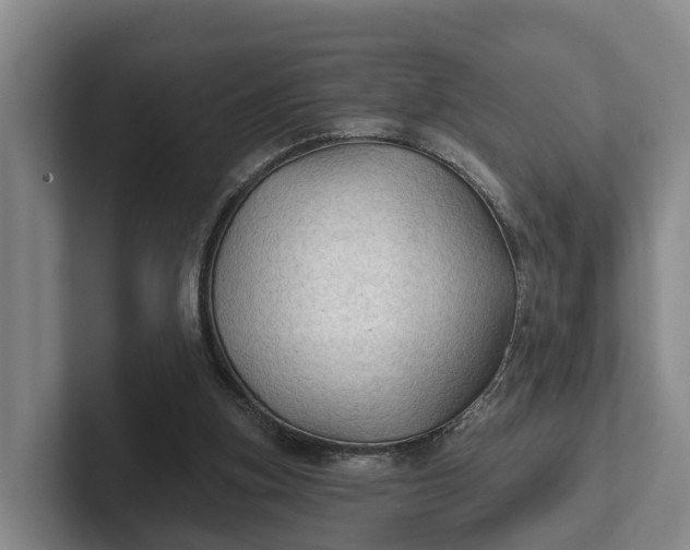 X0000102280155200808081509