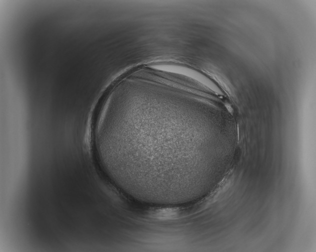 X0000102280156200808081509