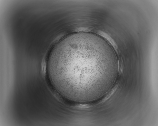 X0000102280157200808081509