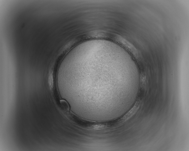 X0000102280158200808081509