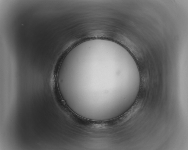 X0000102280160200808081509