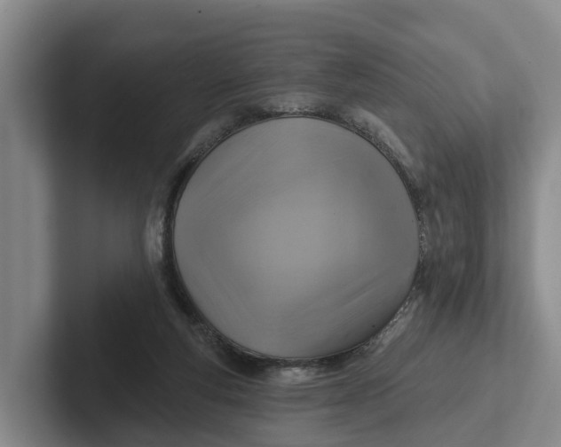 X0000102280163200808081509