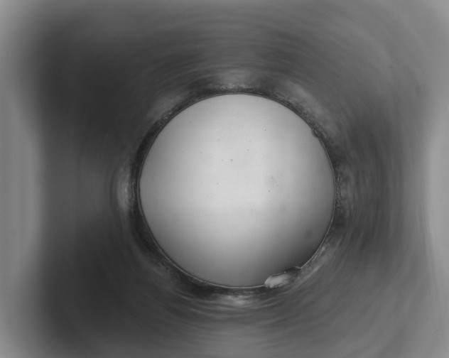 X0000102280164200808081509