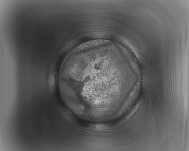 X0000102280165200808081509