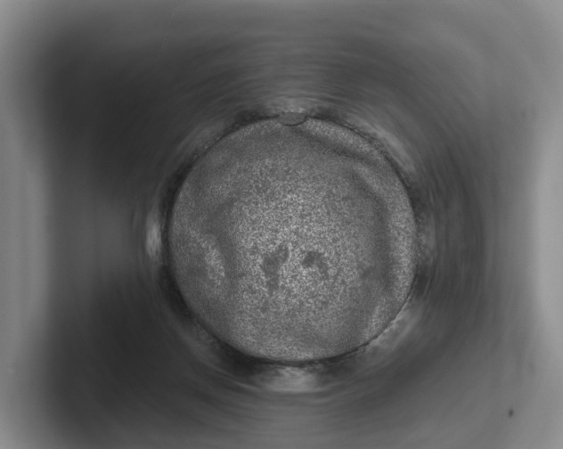 X0000102280166200808081509