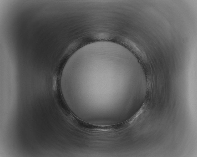 X0000102280167200808081509