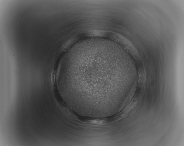 X0000102280168200808081509