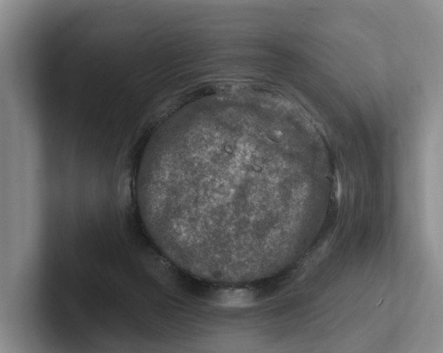 X0000102280169200808081509