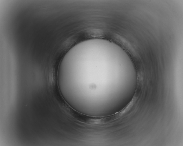 X0000102280170200808081509