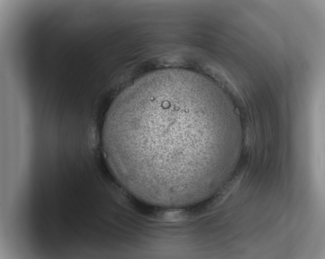 X0000102280173200808081509