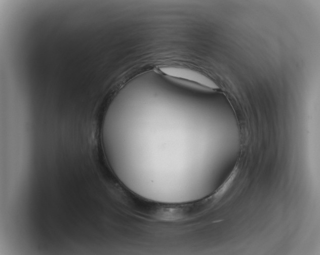 X0000102280174200808081509