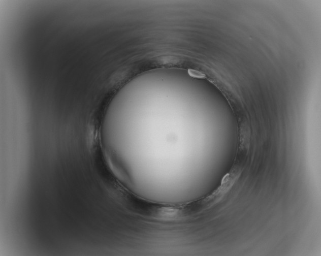 X0000102280176200808081510